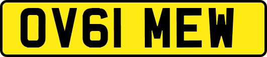 OV61MEW