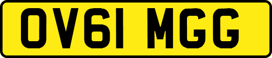 OV61MGG