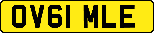 OV61MLE
