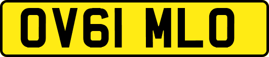 OV61MLO