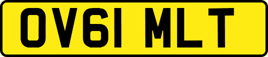 OV61MLT