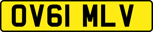 OV61MLV