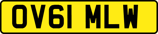 OV61MLW