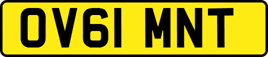 OV61MNT