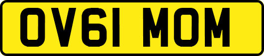 OV61MOM