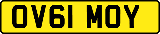 OV61MOY