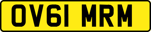 OV61MRM