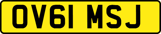 OV61MSJ