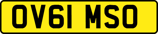 OV61MSO