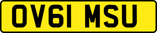 OV61MSU