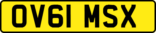 OV61MSX
