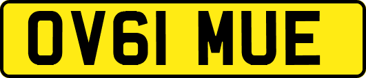 OV61MUE