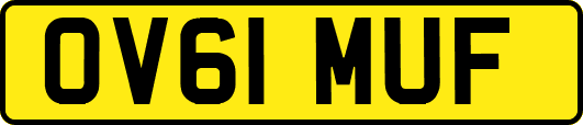 OV61MUF