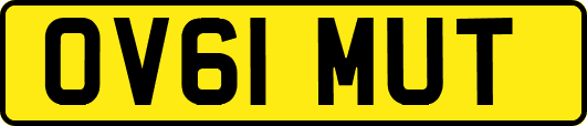 OV61MUT