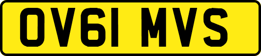OV61MVS