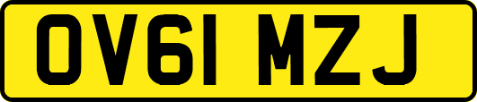 OV61MZJ