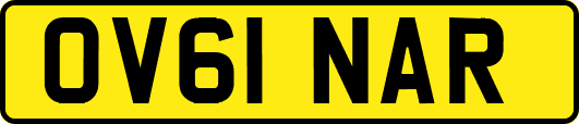 OV61NAR