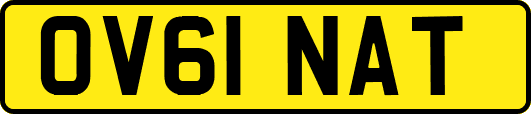 OV61NAT