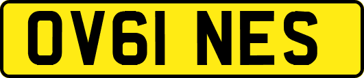 OV61NES