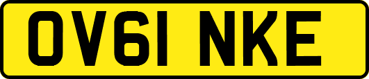 OV61NKE