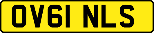 OV61NLS