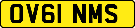 OV61NMS