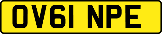 OV61NPE
