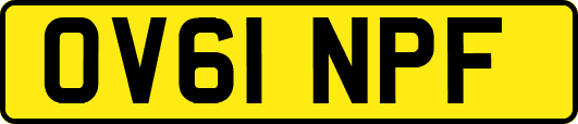 OV61NPF