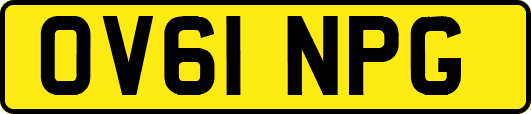 OV61NPG