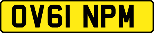 OV61NPM