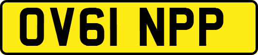 OV61NPP
