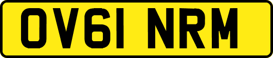 OV61NRM