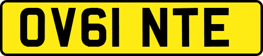 OV61NTE