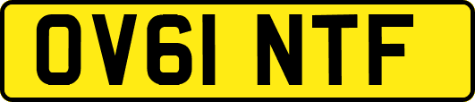 OV61NTF