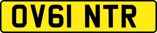 OV61NTR