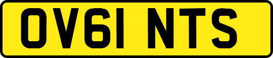 OV61NTS