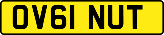 OV61NUT