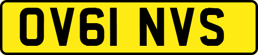 OV61NVS
