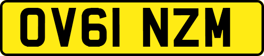 OV61NZM
