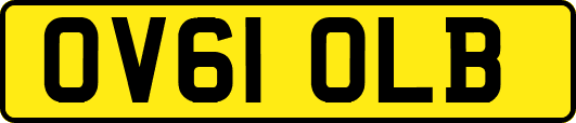 OV61OLB