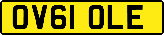 OV61OLE