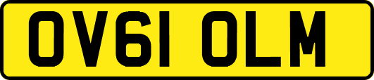OV61OLM