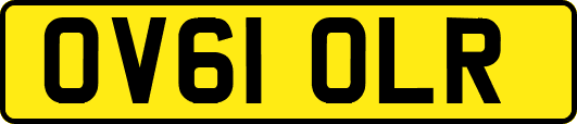 OV61OLR