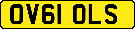 OV61OLS