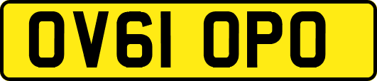 OV61OPO