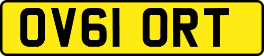 OV61ORT