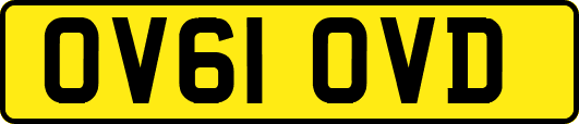 OV61OVD