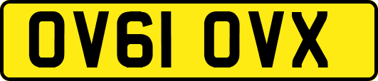 OV61OVX