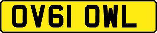 OV61OWL
