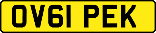 OV61PEK